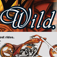 PPG Vibrance Paint Ad